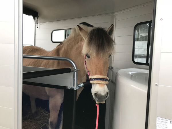 Referenz Premiumtrailer Cheval Liberté Touring Jumping – Innenraum