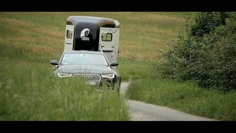 Publicité Cheval Liberté 2016
